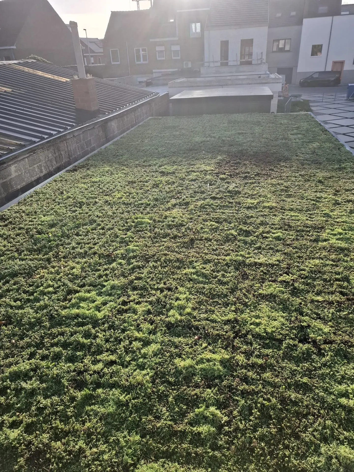 Groendak fietenstalling